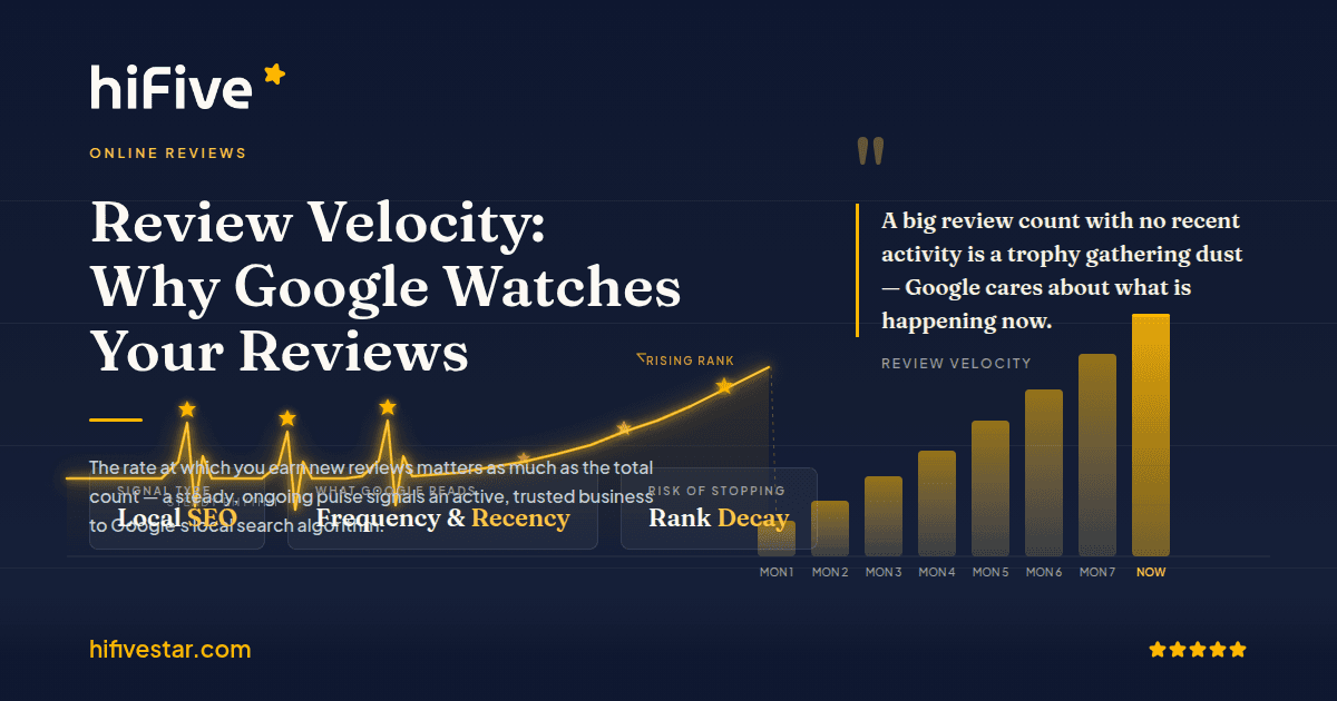 Review Velocity: What It Is and Why Google Watches It