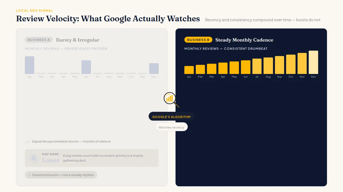 Two competing businesses shown side by side with contrasting review timelines and local search rank positions
